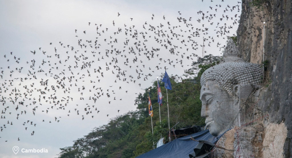 Day 5 – Travel to Battambang