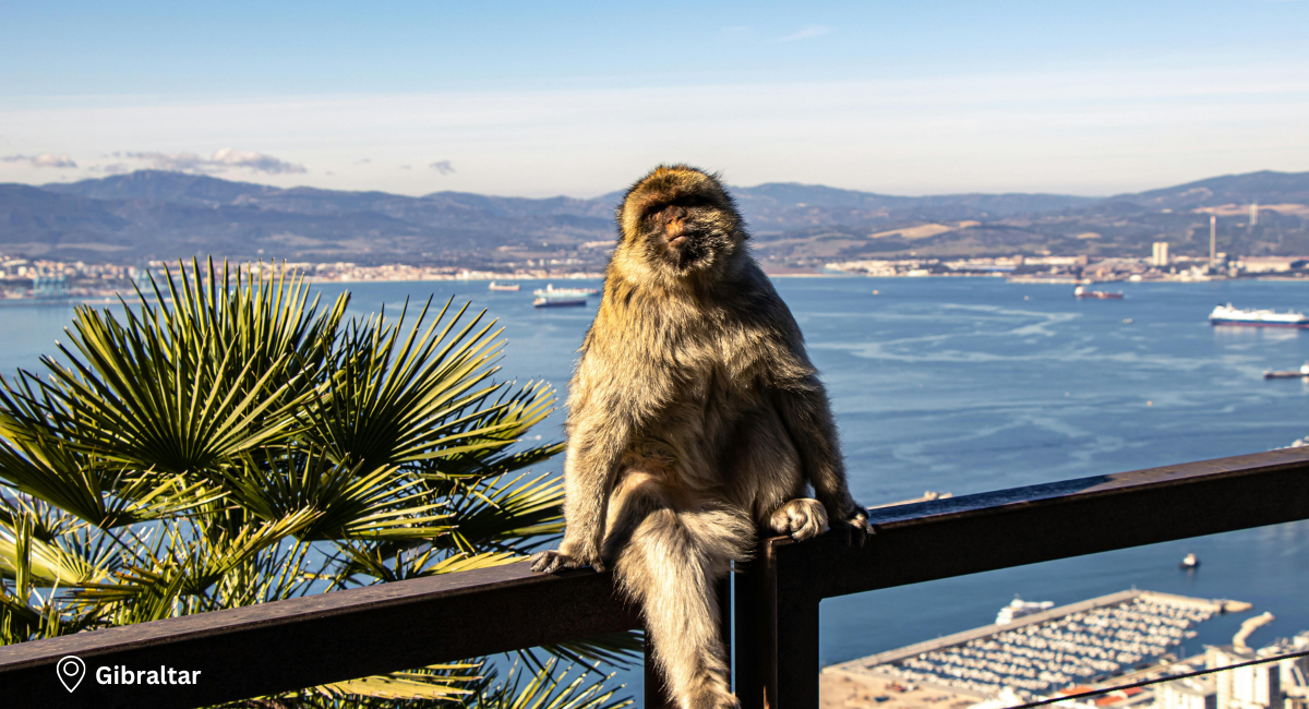 Gibraltar