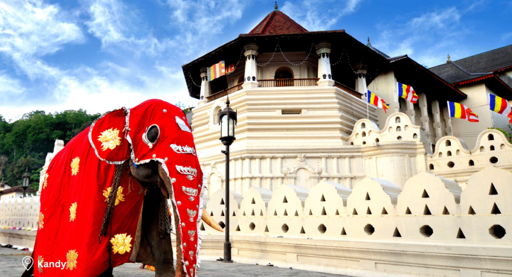 Day 5 & 6- Kandy