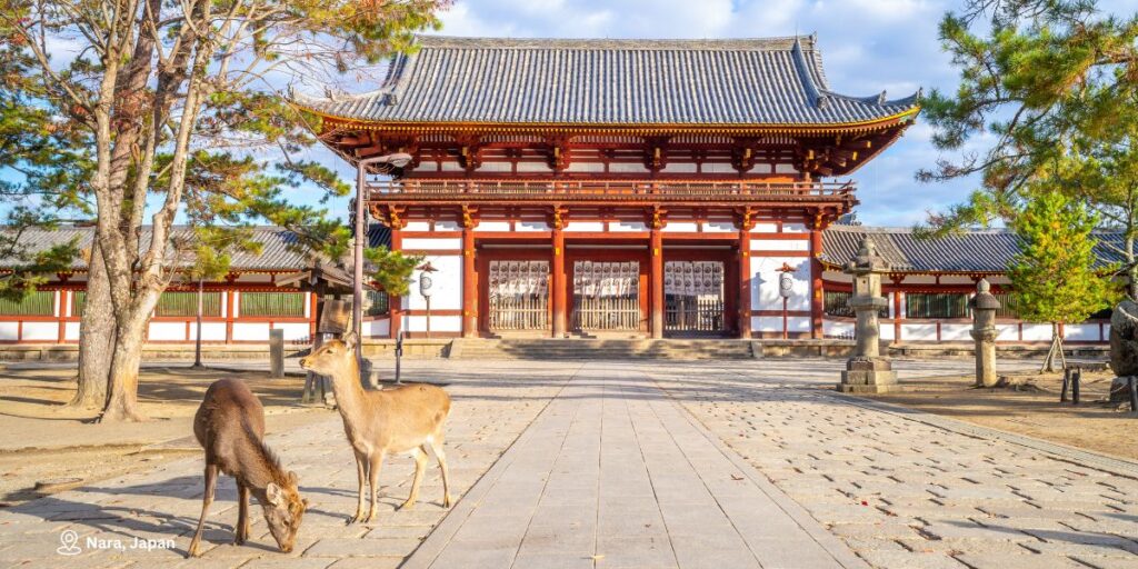 Day 10 – Nara