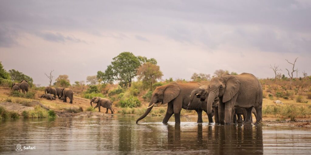 Day 8 – Safari & Nature Walk