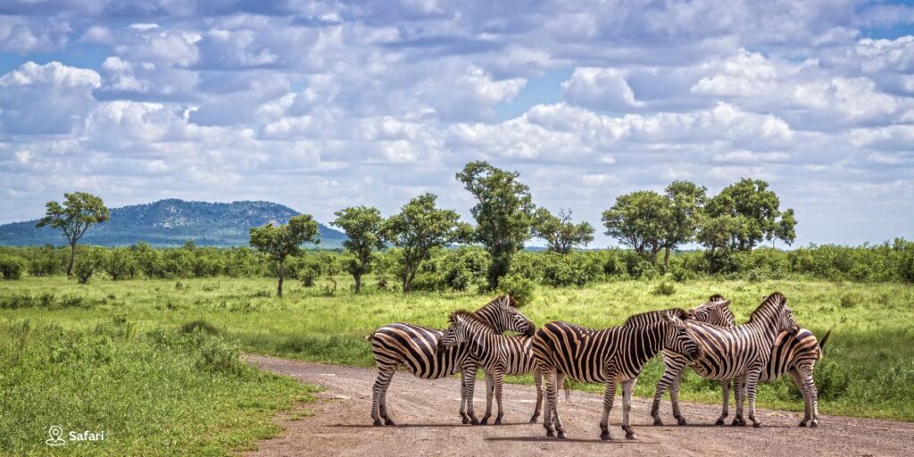 Day 6 – Bushwalk, Safari and Sundown